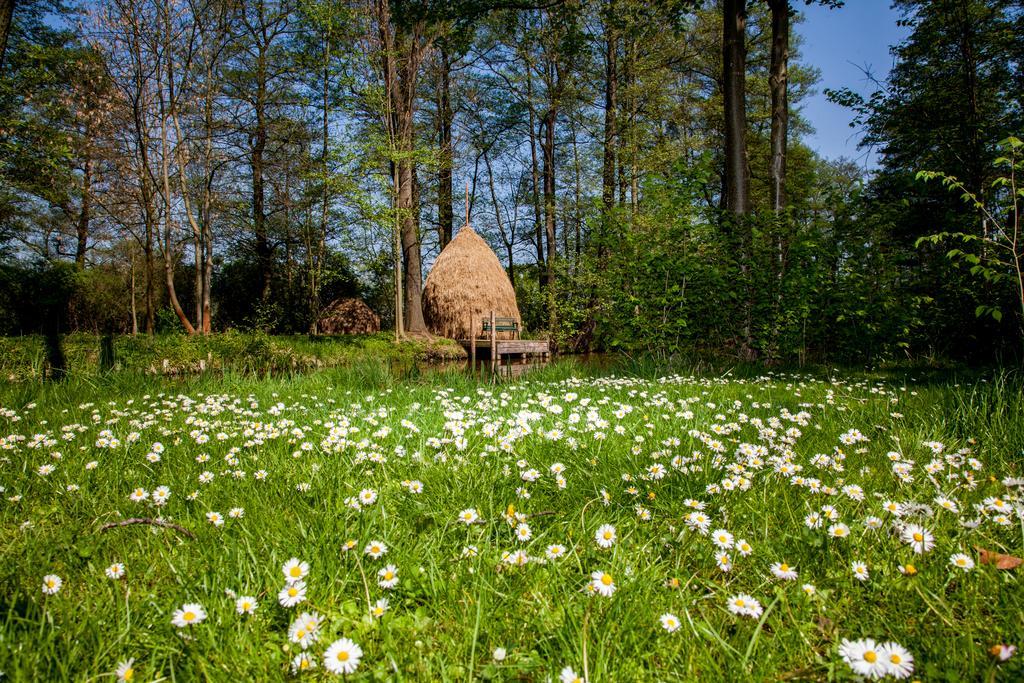 Hotel Zum Stern Spreewald Werben  Dış mekan fotoğraf